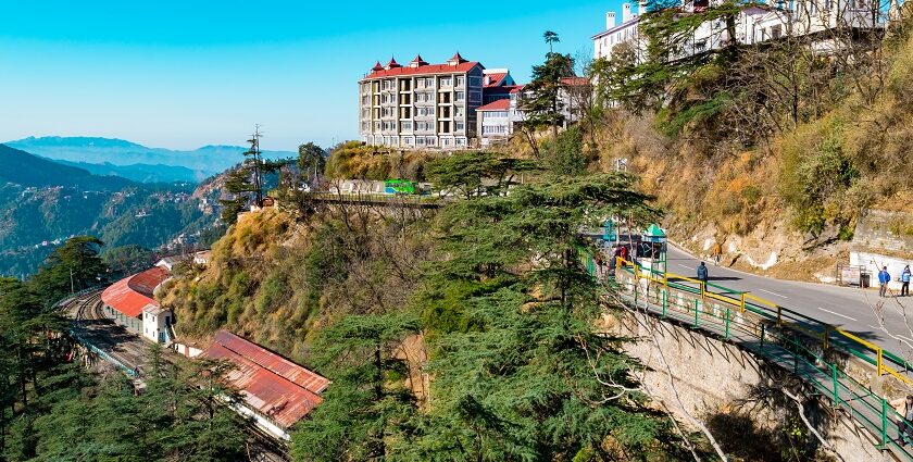 Shimla