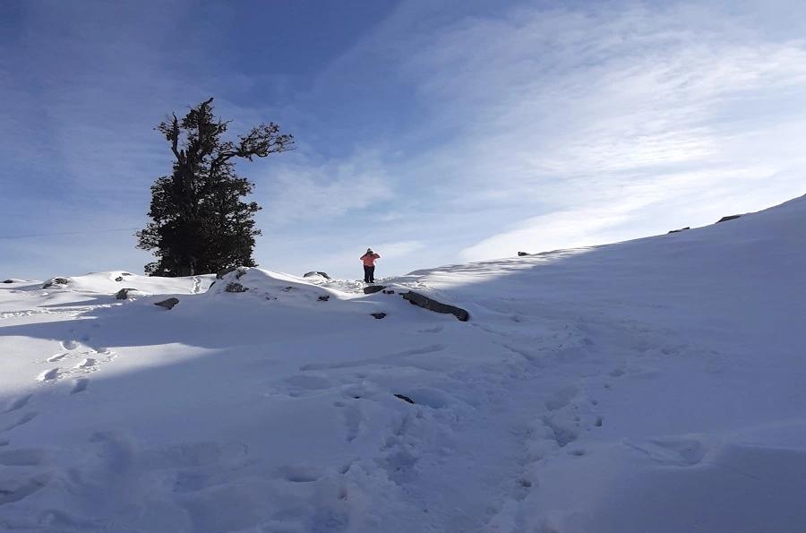 1. Triund Trek – One of the Best Winter Treks in Himachal Pradesh