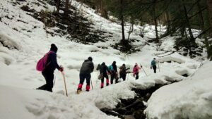 Best Winter Treks in Himachal Pradesh