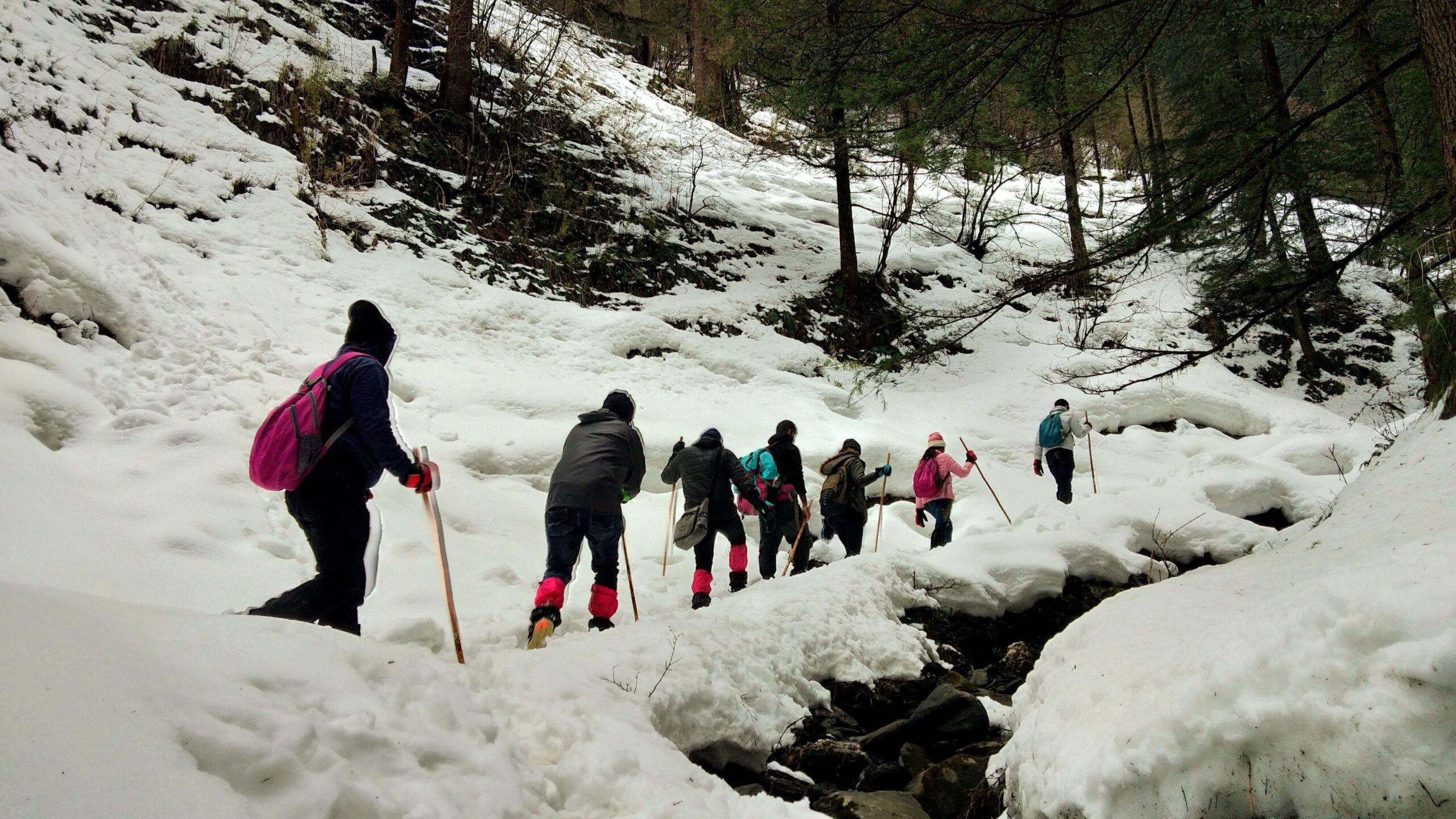 Best Winter Treks in Himachal Pradesh